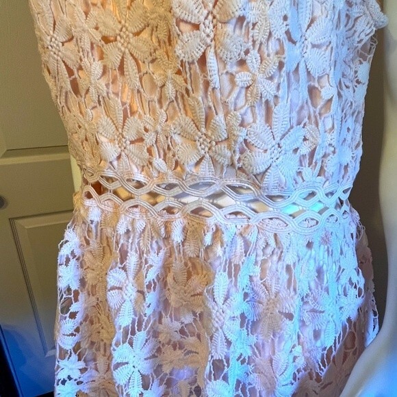 BooHoo Petal pink Embroidered Lace Dress Sz 14 Women's  NWT - Picture 5 of 10